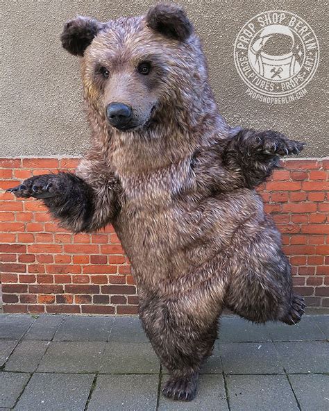 Grizzly bear xxscotume
